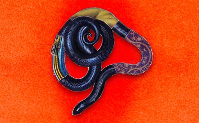 A bright orange, textured background, darker in the centre with a coiled black snake in the centre. The snake is outlined with metallic wires, and three segments of the snake have patterns on them: grouped wires, skin, and a celestial pattern.