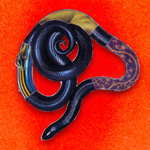 A bright orange, textured background, darker in the centre with a coiled black snake in the centre. The snake is outlined with metallic wires, and three segments of the snake have patterns on them: grouped wires, skin, and a celestial pattern.